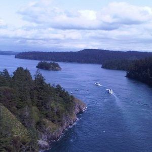 Meet your Posher, Sidra